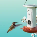 Birdbuddy со скидкой $110 на умную кормушку