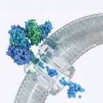 iDEL Therapeutics привлекла €9 млн для биотехнологий в онкологии