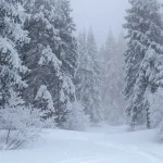Snowflake привлекает $200 млн и запускает Project SnowWork