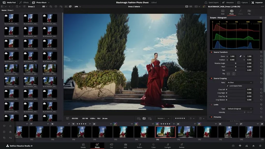 DaVinci Resolve 21 от Blackmagic: новая Фото-страница