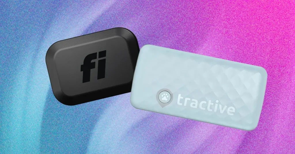 Топ смарт-ошейников для кошек: сравнение Tractive и Fi Mini