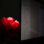 Ruby остается важным языком в эру AI