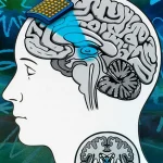 Исследование сознания с помощью ультразвука от MIT