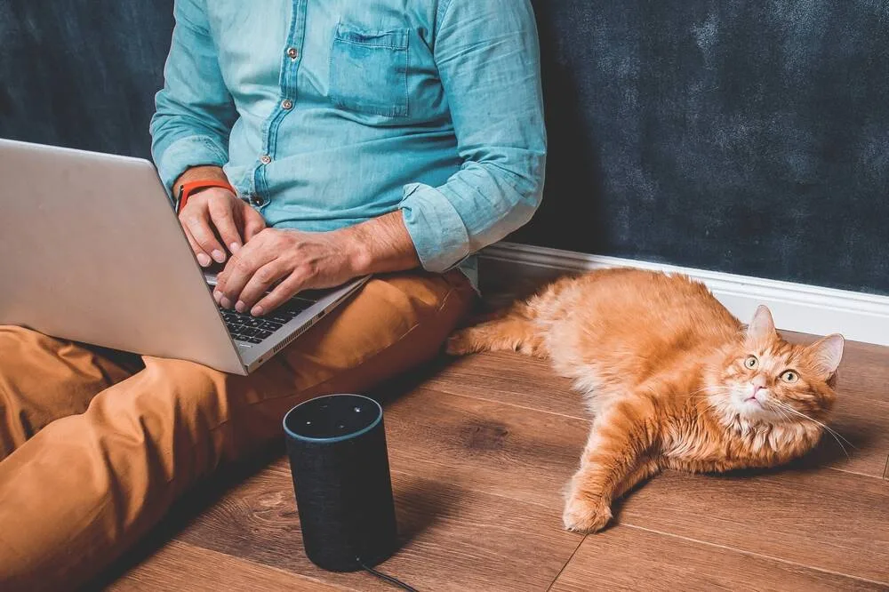 Plex прекращает поддержку Alexa — детали и последствия
