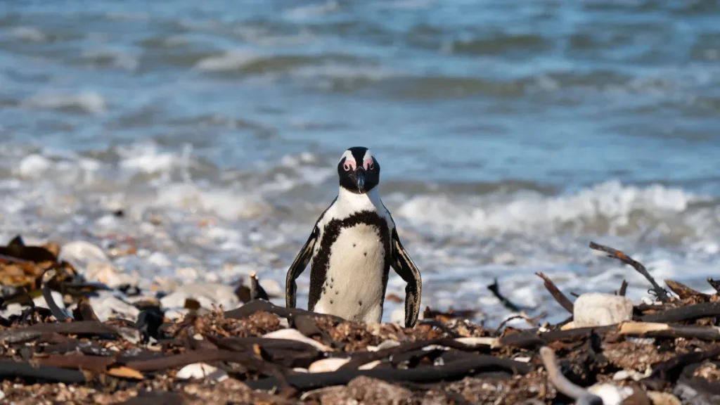Linux убирает 15 устаревших драйверов и 30 000 строк кода