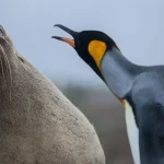 Уязвимость в Linux: как получить root-доступ