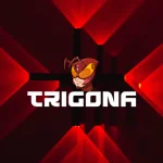 Троян Trigona использует уникальное ПО для эксфильтрации