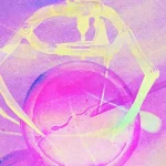 AI в ЭКО: как новые технологии увеличивают успех
