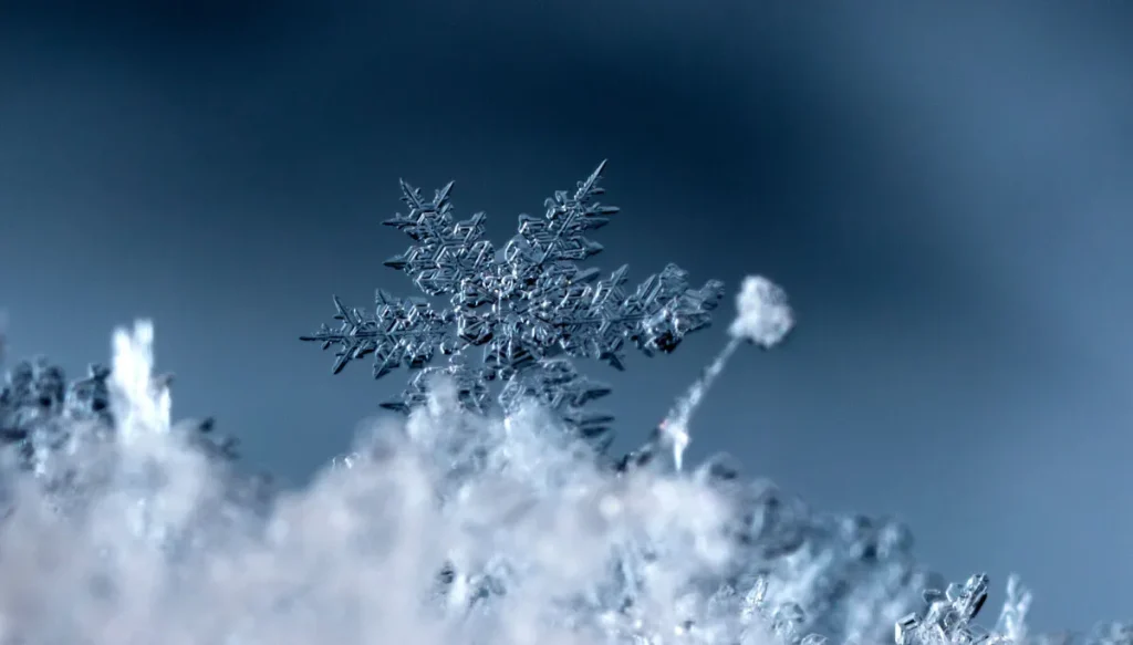 Snowflake покупает Natoma, чтобы приструнить ИИ-агентов