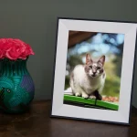 Aura Aspen: рамка для фото со скидкой $30