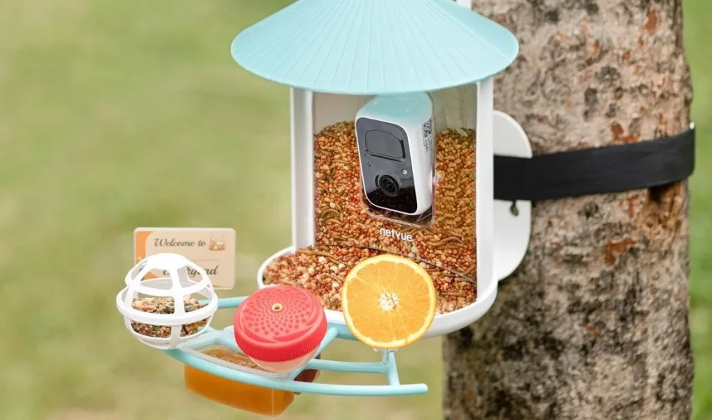 Смарт-кормушка Birdfy по скидке — до $99