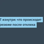 Процесс наёма в IT: как ваше резюме попадает в черный ящик