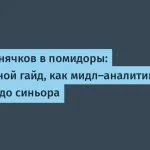 Как мидл-аналитикам стать синьорами — гайд от Авито
