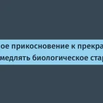Хобби против старения: искусство замедляет биологический возраст