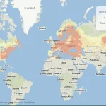 Atmospore: глобальный прогноз пыльцы по 25 видам