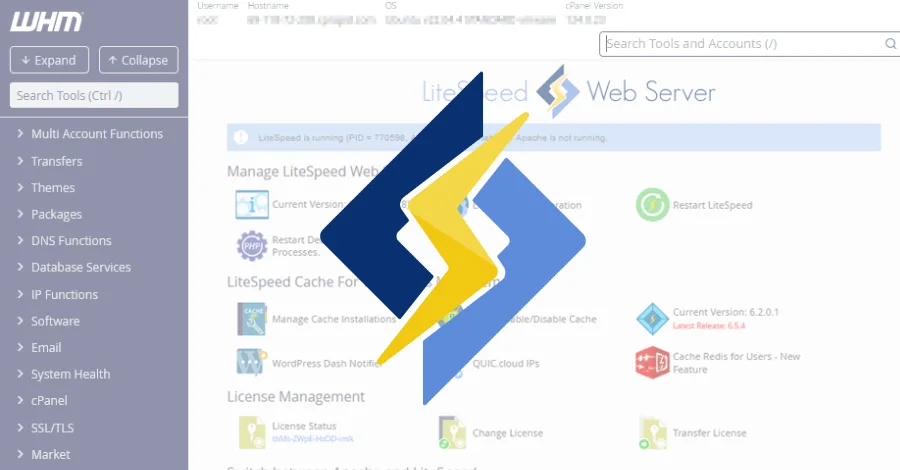Критическая уязвимость LiteSpeed cPanel