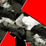 Зачем Shein купила Everlane и почему это плохой знак для рынка