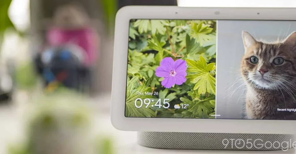 Google готовит Home Display — первый наследник Nest Hub за пять лет