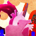 Новая методика оценки риска сердечно-сосудистых заболеваний