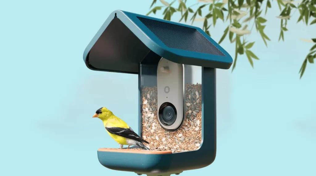 BirdBuddy Pro стал бестселлером Amazon Prime Day