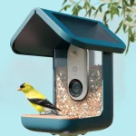 BirdBuddy Pro стал бестселлером Amazon Prime Day