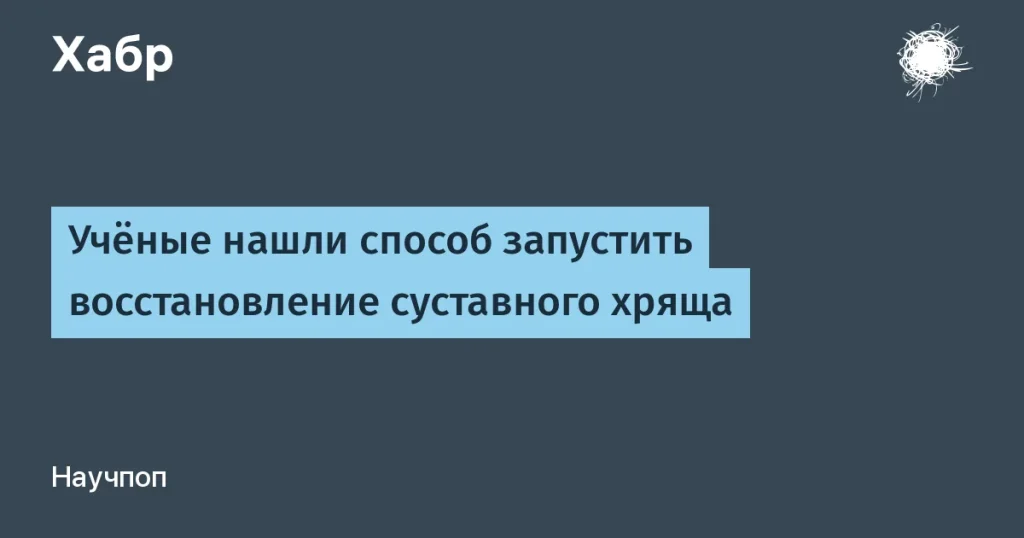 Регенерация суставного хряща — breakthrough из Стэнфорда