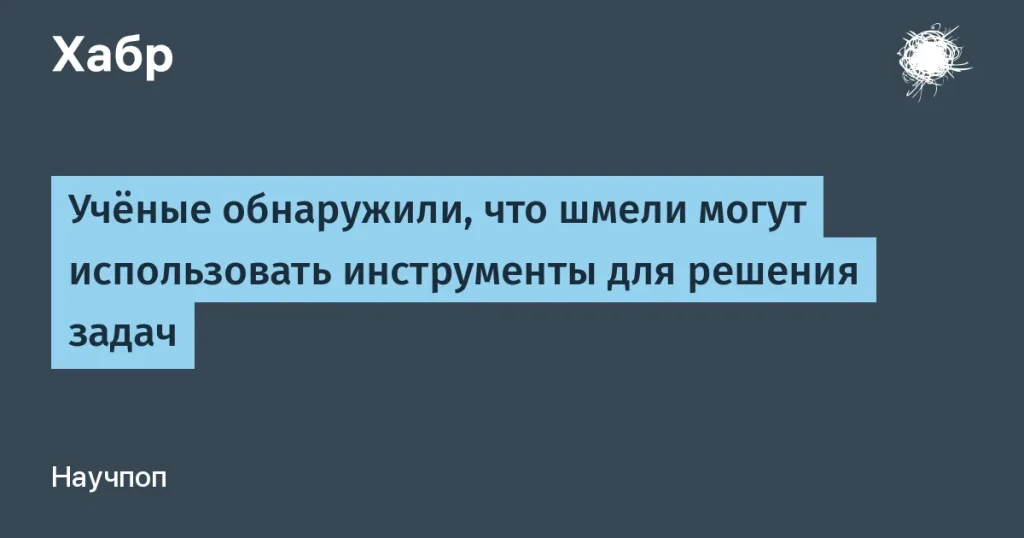 Шмели освоили использование инструментов