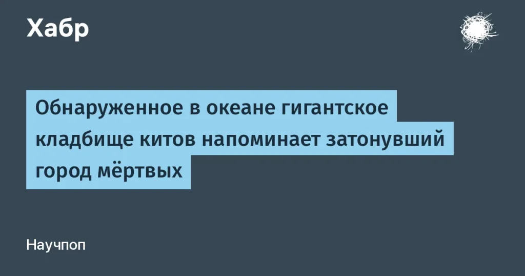 Учёные нашли кладбище китов длиной 1200 км с 485 останками