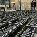 Pearl разогрел GPU-майнинг, но доходность уже просела вдвое