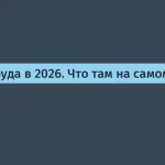 Анализ рынка труда России к 2026 году — 74,5 млн работающих