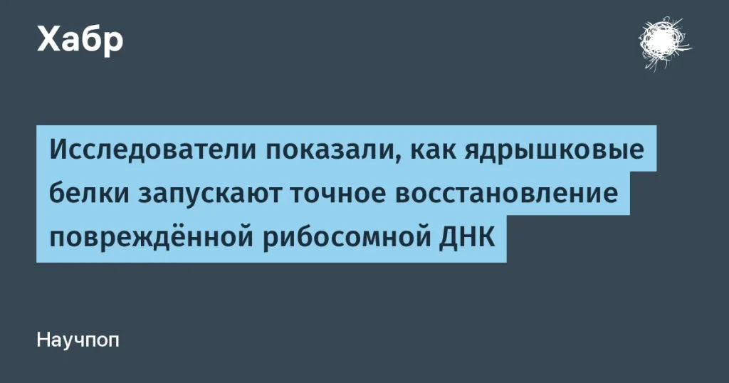 Механизм восстановления рибосомной ДНК исследован учеными
