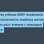 Композит от ЮФУ снижает токсичность тяжёлых металлов
