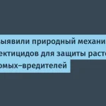 Природный инсектицид: новое открытие российских учёных