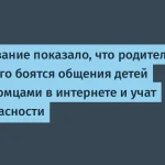 87% родителей боятся за безопасность детей в интернете