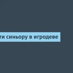 Карьерные пути для синьора в игродеве: что выбрать?