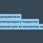 Разработка самостерилизующих покрытий для заживления ран