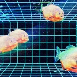 OpenAI и Hugging Face: ИИ сломал системы соседа