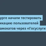 Электросамокаты в Петербурге: идентификация через Госуслуги