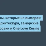 Иван Синёв: как он изменил ICL за 10 лет