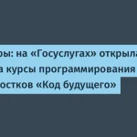 Минцифры запускает бесплатные курсы программирования для образования молодежи