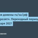 Переходный период для доменов ru, су, рф продлен до 2027 года