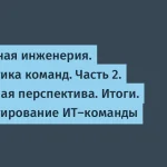 Диагностика ИТ-команды через культурные метафоры для успеха