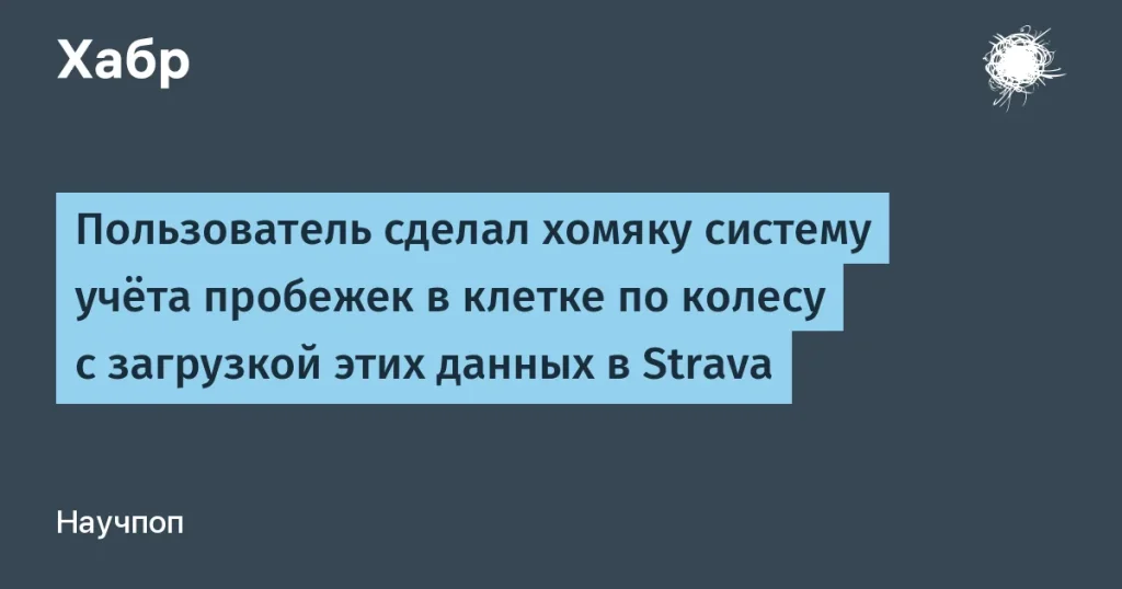 Система учёта пробежек для хомяка Молли
