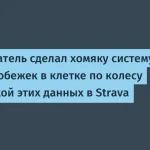 Система учёта пробежек для хомяка Молли