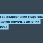 Прорыв в лечении остеоартроза — восстановления хряща