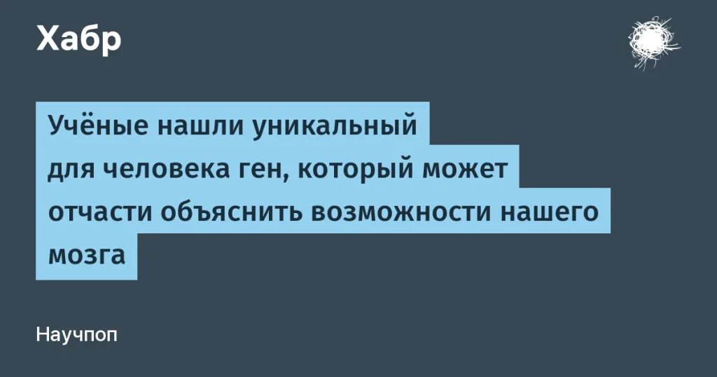 Ген SRGAP2 влияет на развитие микроглии человека