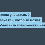 Ген SRGAP2 влияет на развитие микроглии человека