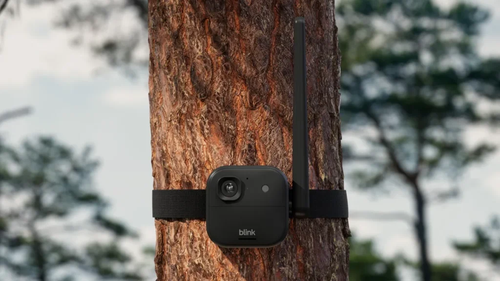 Amazon расширяет Blink: 4K-камера и связь на 7 км