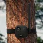 Amazon расширяет Blink: 4K-камера и связь на 7 км